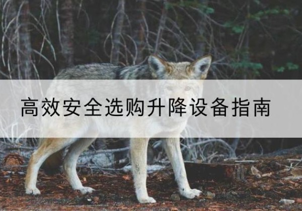永川区升降货梯厂家推荐-*安全选购升降设备指南