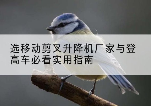 永川区电动升降机厂家-选移动剪叉升降机厂家与登高车必看实用指南